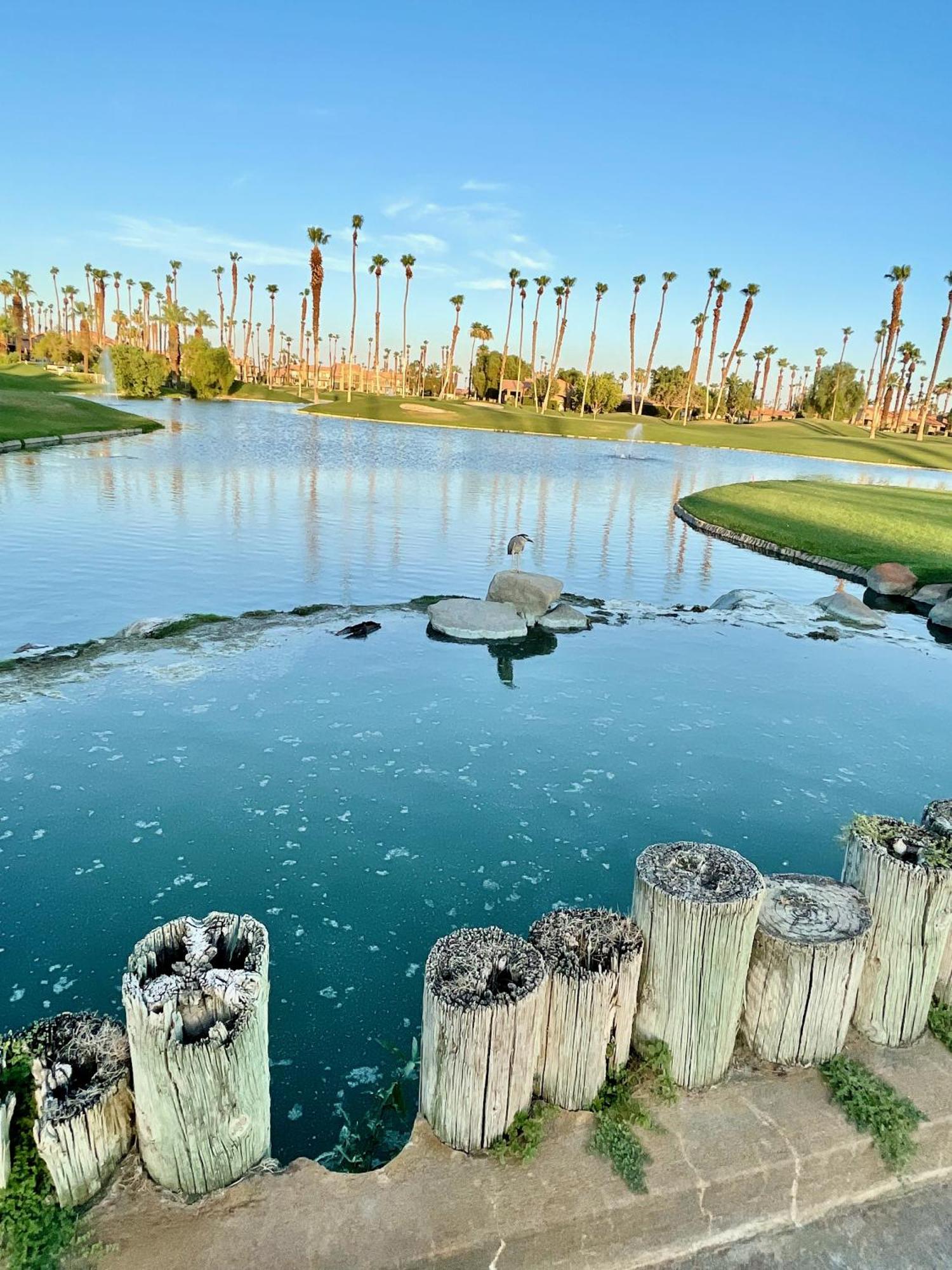The View! Palm Desert Country Club Villa Екстериор снимка